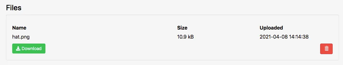 Image file uploaded to the Files section of an Asset