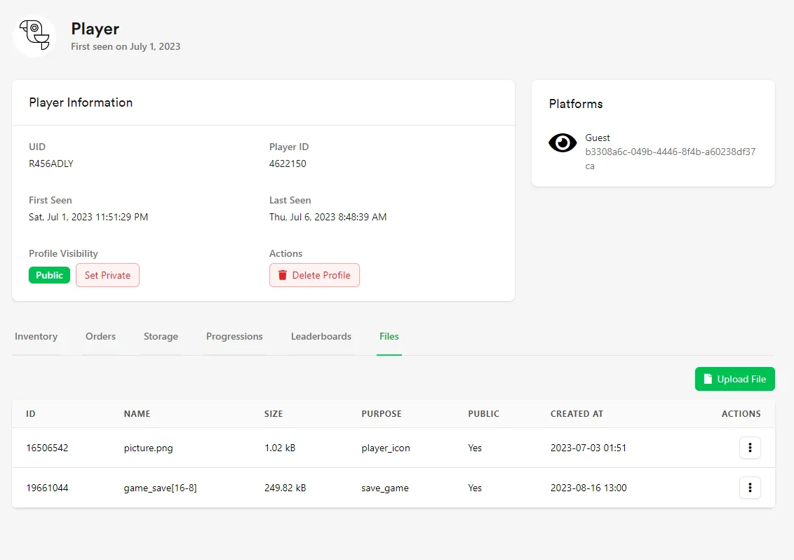 Files tab on a player's profile showing uploaded player files in the Web Console