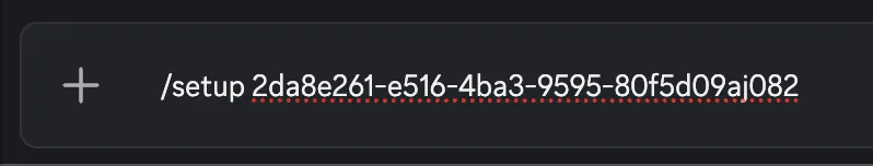 Running the /setup command in Discord with the generated token